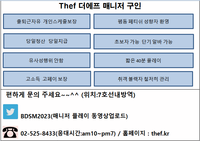 서초 페티쉬 더에프 025258433 4