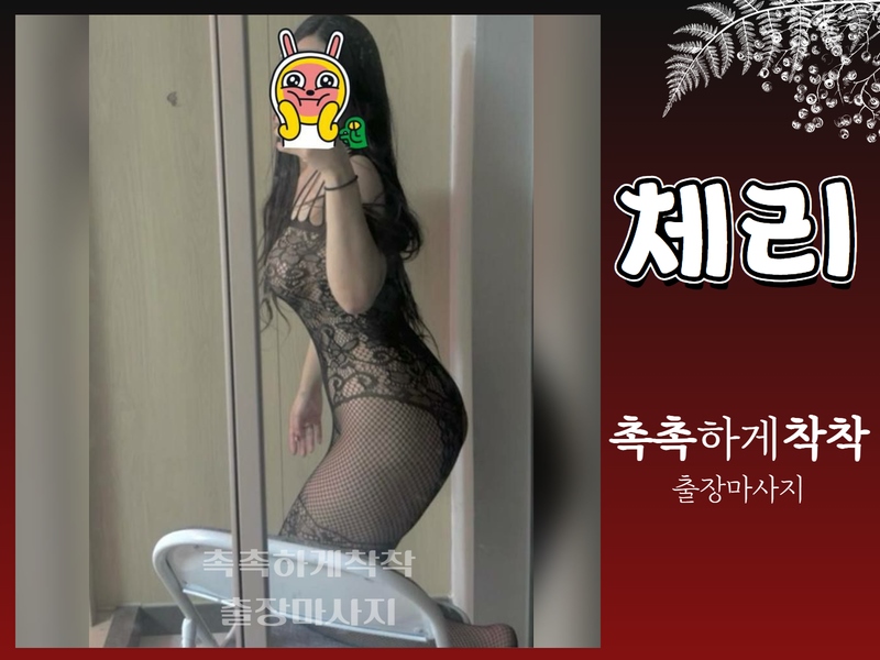 강남 안마 촉촉하게착착출장 01076217114 4