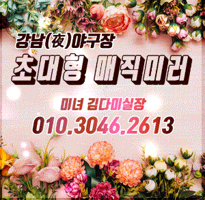 룸/풀싸롱-강남 강남 강남야구장(미녀김다미실장♥) 야맵