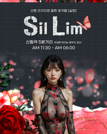 휴게텔-서울 신림 실림 야맵