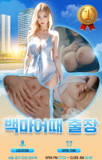 출장/기타 동대문 백마어때 야맵